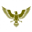 AGENTIA-DE-DETECTIVI-EAGLE-ARAD